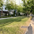 (주)엠닥스 | 일상, 대혼돈의 MCU, 닥터 스트레인지2,피프틴엠 데님후기, 합정 포비베이직, 뉴발란스 550 후기도..