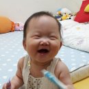 속리산송림펜션 이미지