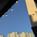 [화성 동탄] 워낭소리 / 동탄 야장, 11자 상가 소곱창전골 맛집 추천