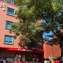 월미네컷 | [서울/혜화] 혜화역 대학로 디저트맛집추천 / 요거슈21