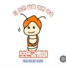 보은메디칼 이미지