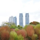 태화강국가정원 이미지