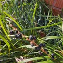 프라임성모내과 이미지