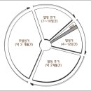 [펌] 발정 및 출산 / 출처 : 한국애견협회 / 운영자 조언 : 발정기의 개 관리에 참고하세요. 이미지