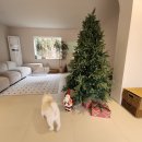 스테이 도랑 | 양산 애견동반 독채 풀빌라｜실내수영장 있는 프라이빗 감성 숙소 스테이도랑 후기