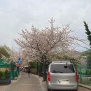 소울식당