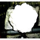 금산공판장 이미지