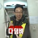 로얄인디아 네이버블로그