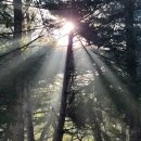 레이크힐스호텔속리산 이미지