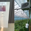 딸기피씨 이미지