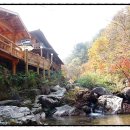 곰사냥을떠나자펜션 이미지