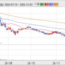 진성레져 이미지