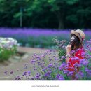 상림화원 이미지