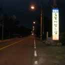 들꽃이 있는집 이미지