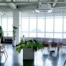 연안애견 이미지