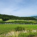 고령목장 이미지