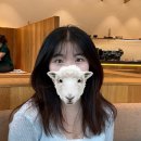 성북동-848 | 서울 성북동 어른들이 좋아할 조용한 카페 말차라떼 추천 인생샷 후기