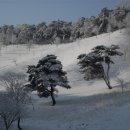 까치목장 이미지