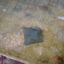 관리낚시터 이미지