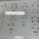 영남대학교 자연박물관 이미지