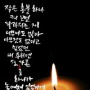 행복열매