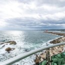 남애어촌체험휴양마을 이미지