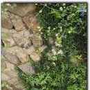 슬로시티삼지내마을 이미지