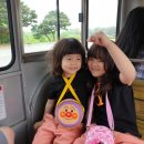 태극수제돈까스 이미지