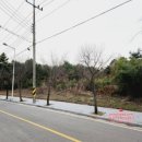 덕산청과 - 예산군 예덕로 2 | 덕산청과