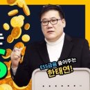 REC 가격안정화를 위한 대책회의/rec는 오른다/한태연과 함께 하세요/한태연 ess는 한달내 설치가능합니다/1금융권 대출가능합니다 이미지