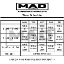 팀 매드 이미지