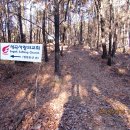 우면산6-12 이미지