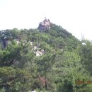 정곡 Daum카페