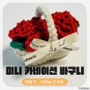 스칸디아모스 카네이션 바구니 만들기 | [뜨개질 DIY] SEVY(쎄비) ‘로미오 미니 카네이션 바구니’ 어버이날 스승의날 카네이션 만들기 후기