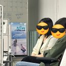 항도덤프 네이버블로그