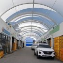 풍년청과 이미지