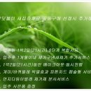 이지코퍼레이션 이미지