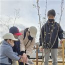 희망나무심기2 이미지