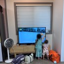 아일라리조트 이미지