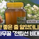 헛개나무꿀 "전립선 비대증 억제 효과 탁월" (2026.07.02/뉴스데스크/전주MBC)﻿ 이미지