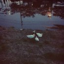 거니는집 이미지