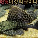 관상어프라자