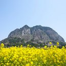 진례부동산공인중개사사무소 이미지