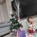 버클리반 조이서🌲🎀🎄♥️🌲 이미지