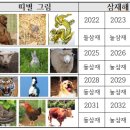 2026년 병오년(丙午年) 삼재 해설 이미지