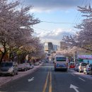 꽃마을로4 이미지