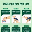 로얄동물메디컬센터 강동 이미지