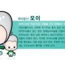 YR디자인 이미지