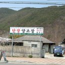 미인단장
