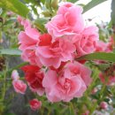 가곡농장 이미지